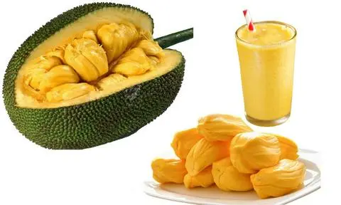 Hình ảnh sinh tố mít