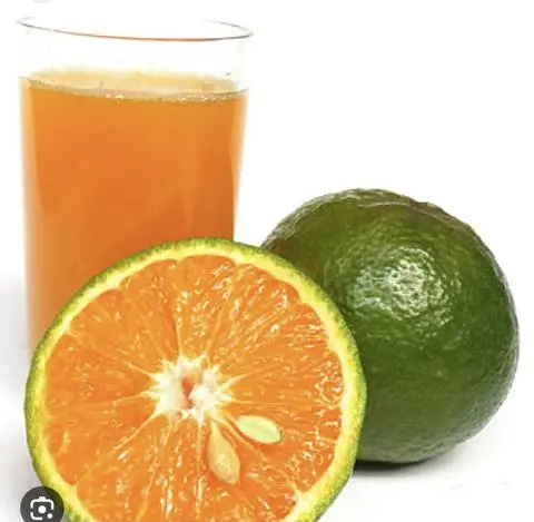 Hình ảnh Cam Ép - Sữa ( Ly lớn) 