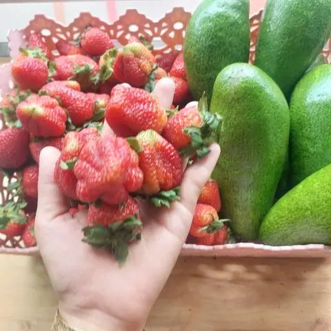 Hình ảnh sinh to  combo 3 món 