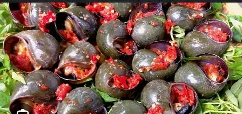 Hình ảnh Ốc bươu nướng sate