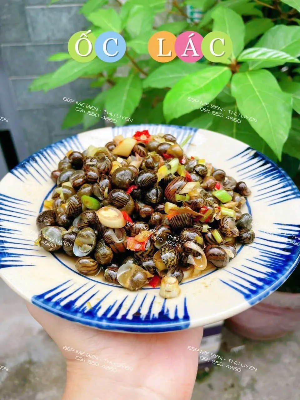 Hình ảnh Ốc Lác