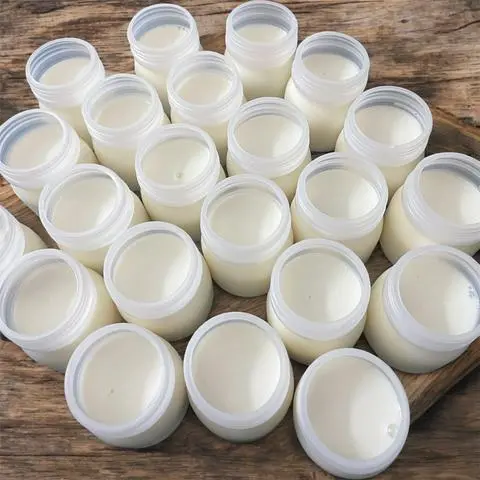 Hình ảnh sữa chua dẽo truyền thống 