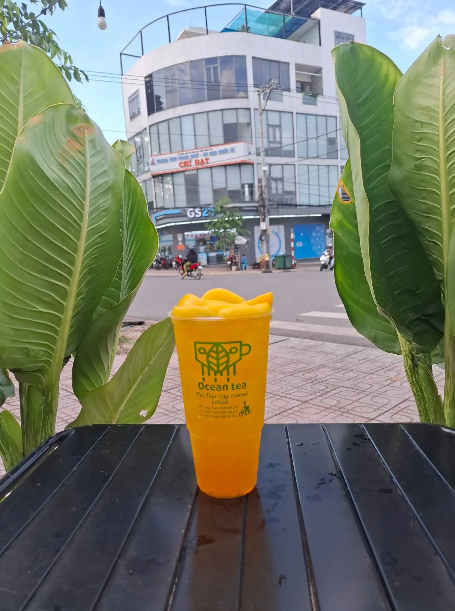 Hình ảnh Trà đào