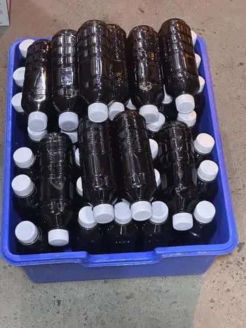 Hình ảnh combo 10C Nước Sâm đường phèn