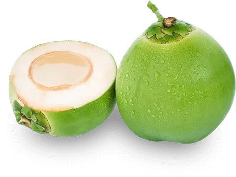 Hình ảnh Dừa tươi