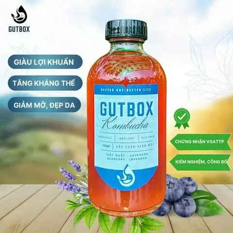 Hình ảnh Kombucha việt quất lavender