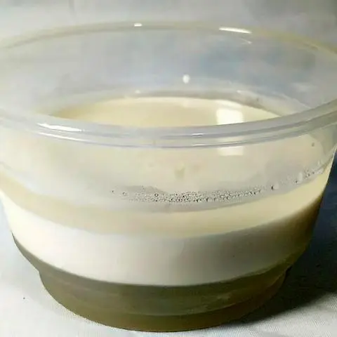 Hình ảnh Rau câu hủ dừa