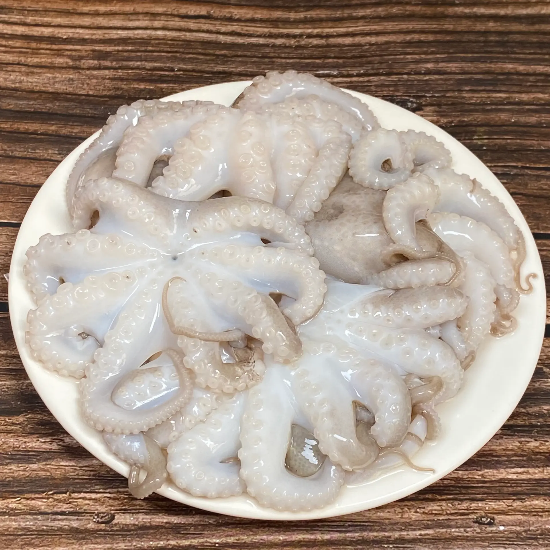 Hình ảnh Bạch Tuộc