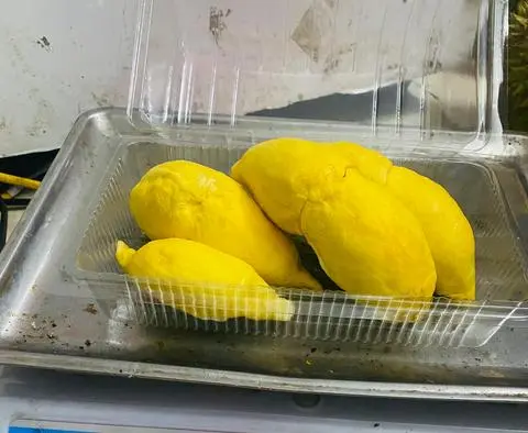 Hình ảnh Khay Sầu Riêng Nhỏ 