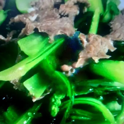 Hình ảnh Bò Xào Cải (Thêm )