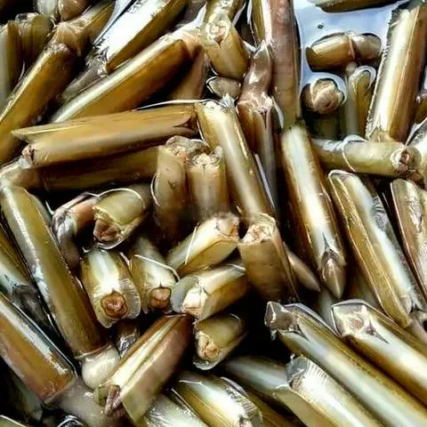 Hình ảnh Ốc móng tay xào me