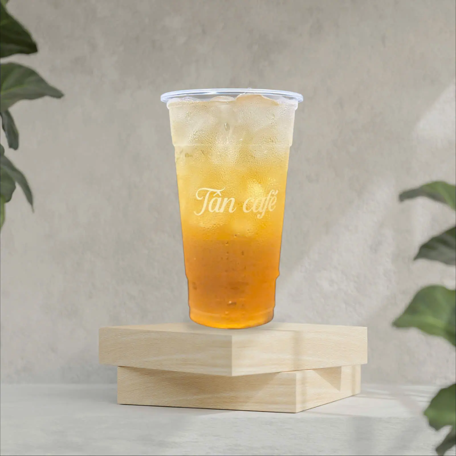 Hình ảnh LT - Lục Trà (Size L)