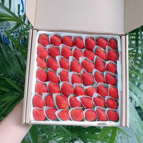 Hình ảnh Dâu nhật skyberry size lớn vừa