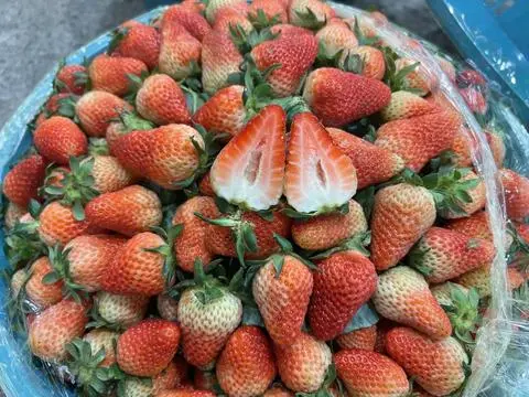 Hình ảnh Dâu Tây - Hộp 500gr