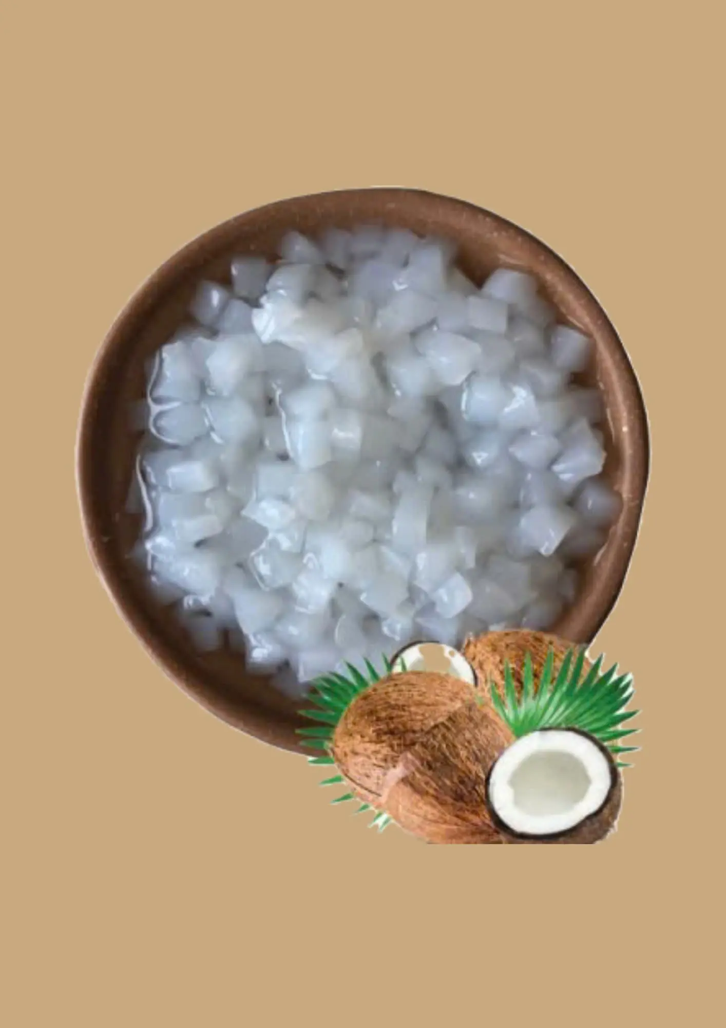 Hình ảnh Thạch Dừa