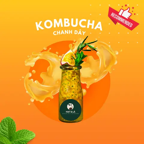 Hình ảnh Kombucha Dứa (Chai 330Ml)