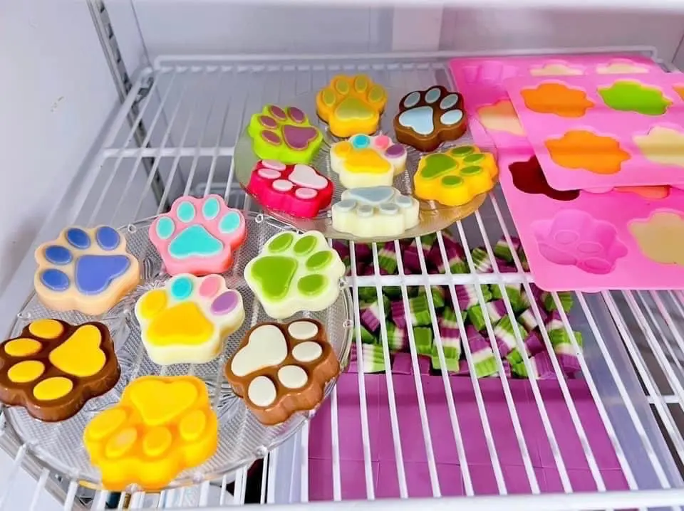 Hình ảnh Khúc Bạch Chân Mèo lớn