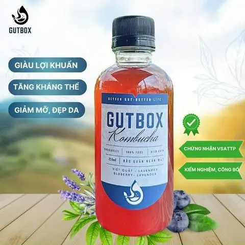 Hình ảnh Kombucha việt quất - lavender