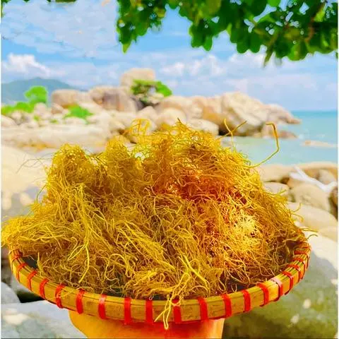 Hình ảnh Rong Chỉ Vàng 250g, Rong Biển Nấu Xu Xoa, Nấu Chè, Đã Làm Sạch Sẵn Phơi Khô