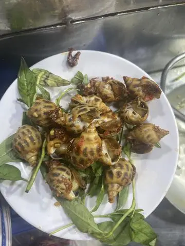 Hình ảnh hương rang muối 
