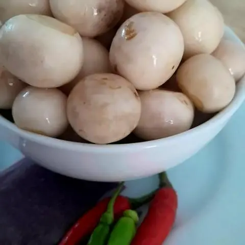 Hình ảnh Cà pháo mắm tôm