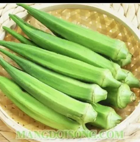 Hình ảnh đậu bắp
