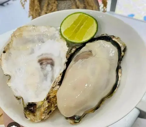Hình ảnh Hàu đại dương sống 10 con