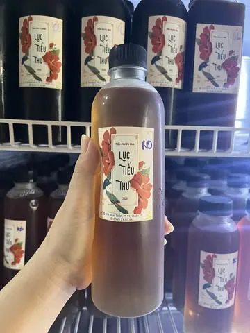 Hình ảnh Rong Biển