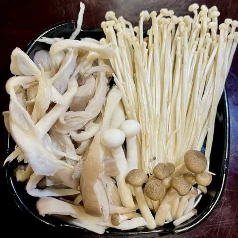 Hình ảnh Nấm _ Lớn