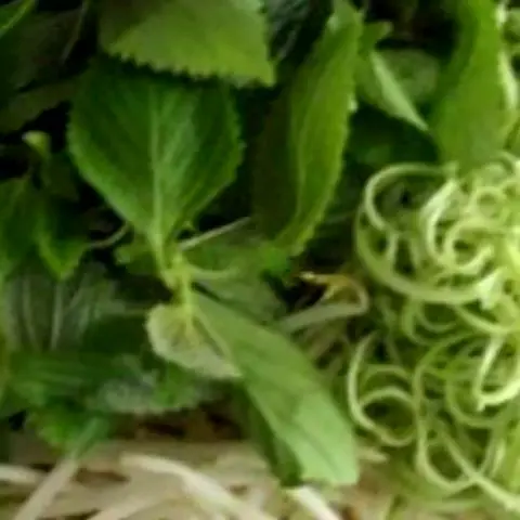 Hình ảnh Rau thêm