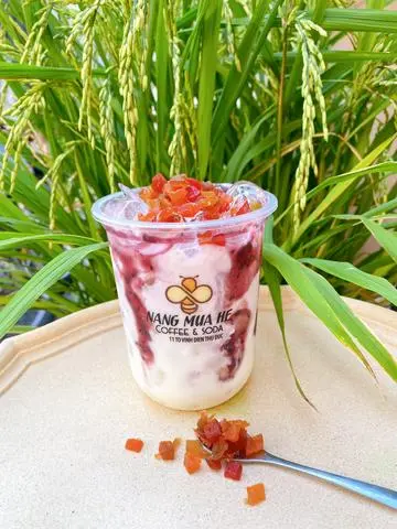 Hình ảnh Yogurt Việt Quất