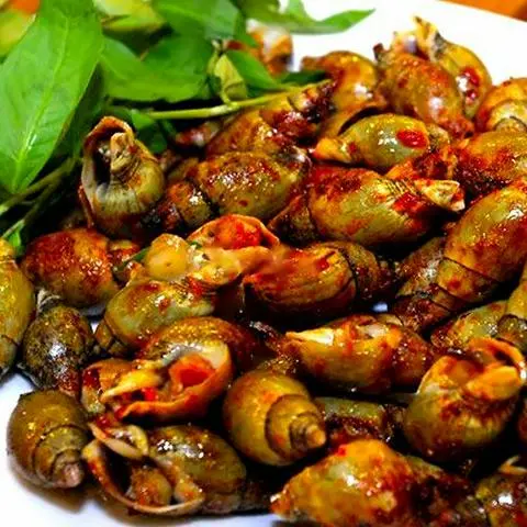 Hình ảnh Ốc cà na rang muối