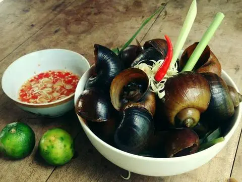 Hình ảnh Ốc Bươu Xào Sate 