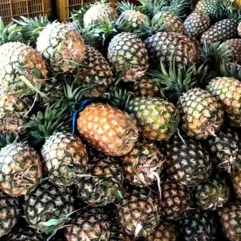 Hình ảnh Ép thơm đường phèn