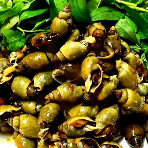Hình ảnh Ốc cà na xào mắm