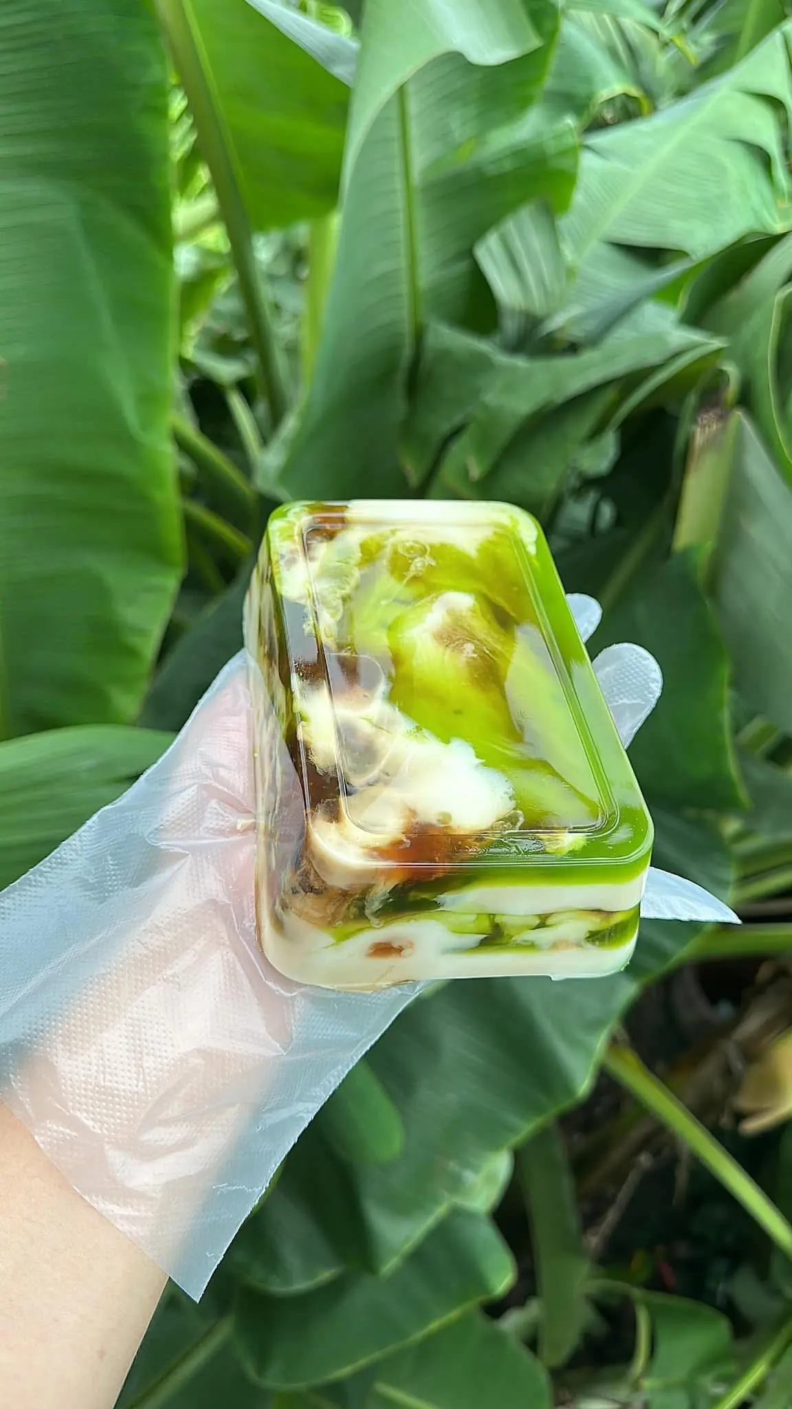 Hình ảnh Rau câu sơn thuỷ - hộp 550ml