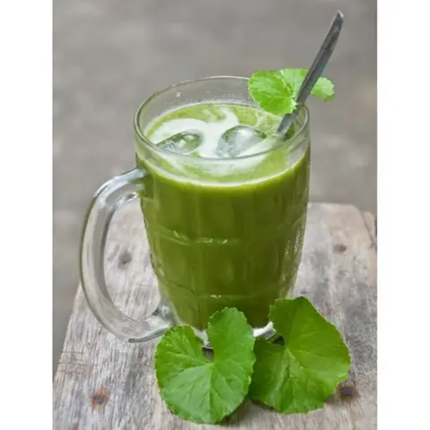 Hình ảnh rau má nguyên vị ly lớn 
