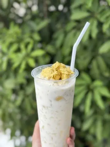 Hình ảnh Sầu riêng Ri 6 Dầm Sữa Tươi