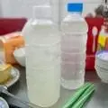 Hình ảnh Mủ Trôm