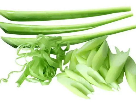 Hình ảnh MÔN BẠC HÀ