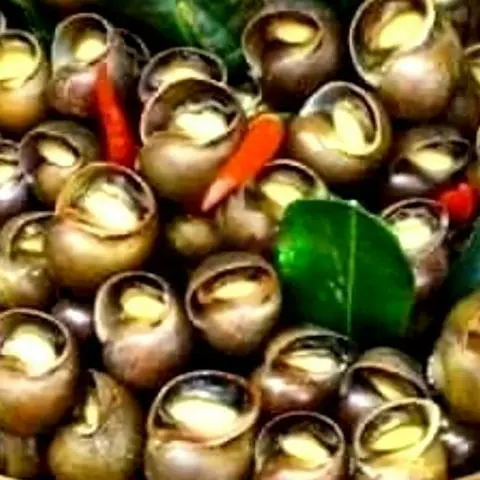 Hình ảnh Ốc lác xào tỏi 