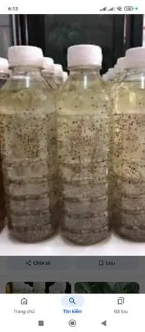 Hình ảnh Nha Đam.(hạt chia, hạt é ,nhà nấu)