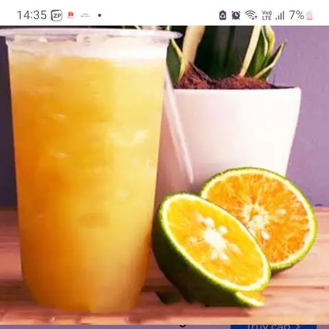 Hình ảnh MÍA  Cam 