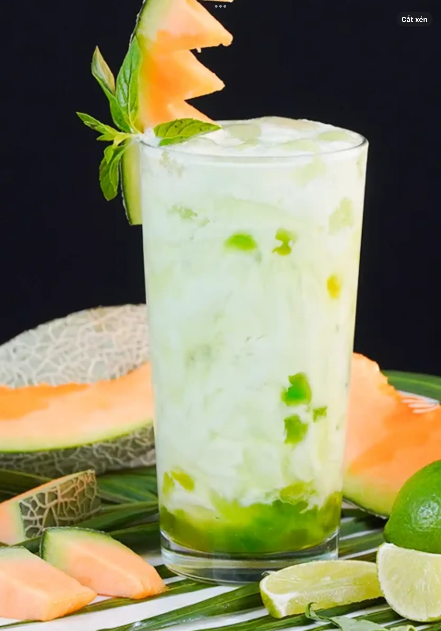 Hình ảnh yourt dưa lưới 