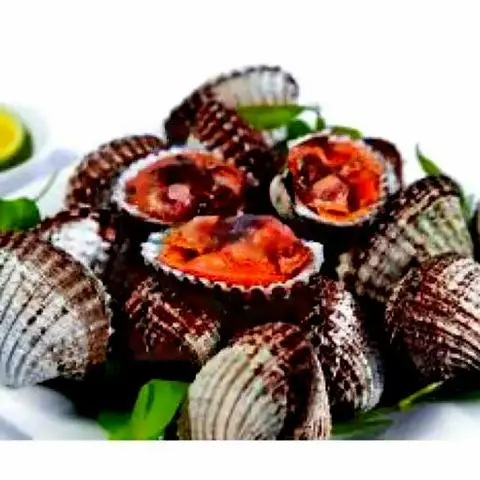 Hình ảnh Sò huyết lacot 