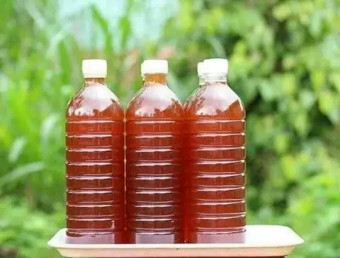 Hình ảnh Mật ong hoa cà phê Đắk Lắk 