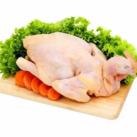 Hình ảnh gà ta nguyên con (sống )