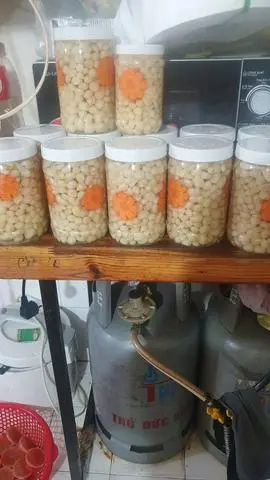 Hình ảnh CỦ KIẸU NHÀ LÀM(HỦ NHỎ)600g luôn nước