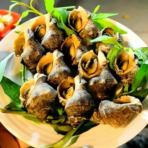 Hình ảnh Ốc gai nướng mọi