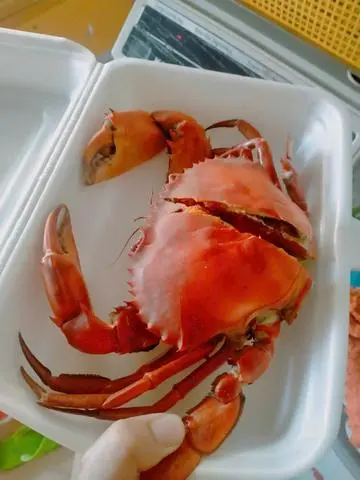 Hình ảnh cua gạch lớn 1con hấp chín